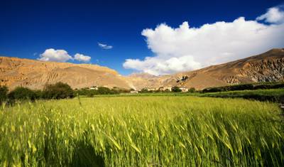 رحلة Upper Mustang — 4
