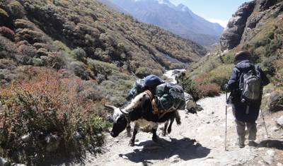 Trek do Bazy pod Mount Everestem — 5