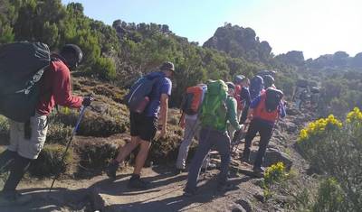 8日間 キリマンジャロ登山 machame route — 3