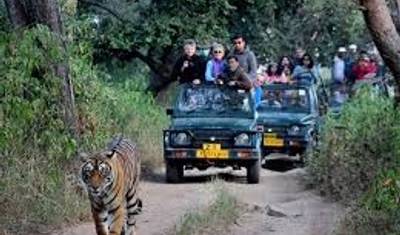 Golden Triangle Delhi Agra Jaipur With Ranthambore National Park — 2
