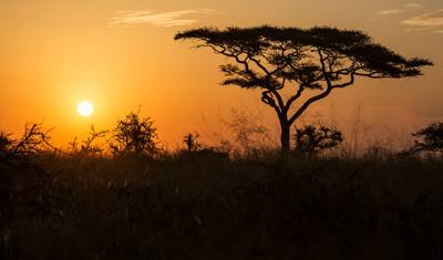 Leste da África por Terra: Serengeti e Safáris — 3