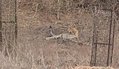 Wycieczka Złoty Trójkąt z Ranthambore w luksusowych hotelach 4-gwiazdkowych — 5
