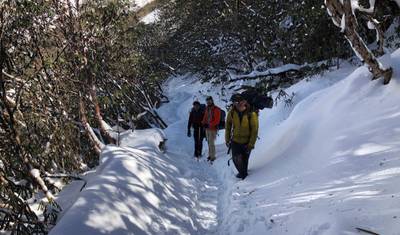 Mardi Himal Trek (Original) — 5