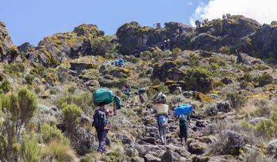 Subida ao Monte Kilimanjaro 7 Dias Rota Lemosho — 5