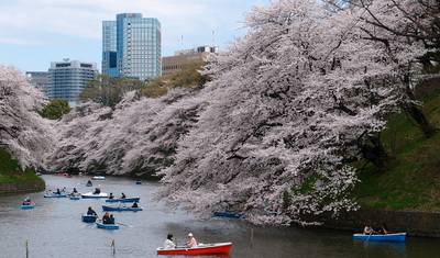 Japan Winter Wonder (Classic) — 4