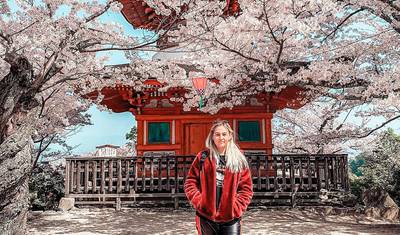 Maravilha de Inverno no Japão (Clássico) — 4