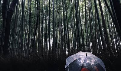 Maravilha de Inverno no Japão (Clássico) — 3
