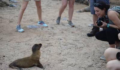 Ilha de San Cristóbal em 4 Dias: A Fuga Perfeita para Galápagos — 2