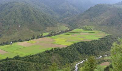 Okno na Bhutan — 2