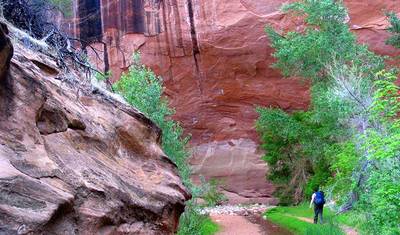 Przygoda w Coyote Gulch — 3
