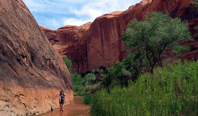 Przygoda w Coyote Gulch — 4
