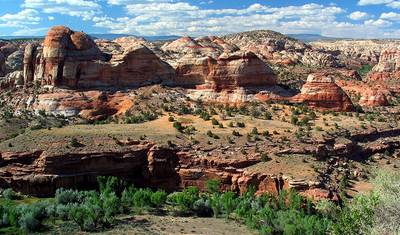 Przygoda w Coyote Gulch — 2