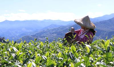 Tour Privado Premium de 3 Dias: História e Natureza de Taiwan — 5