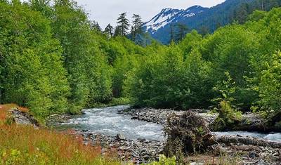 Enchanted Valley — 4