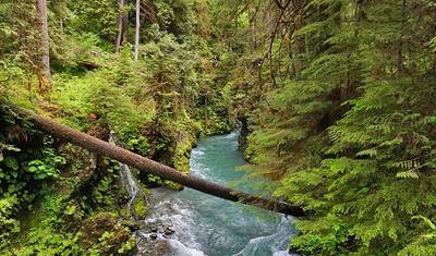 Enchanted Valley — 2