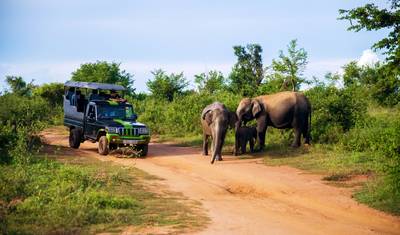 Sri Lanka Experience — 5