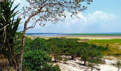 Tambopata, macaw clay lick and Sandoval lake 5D/4N — 5