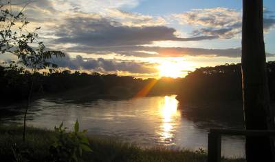 Tambopata, lizawka dla ar i Jezioro Sandoval 5 dni/4 noce — 5