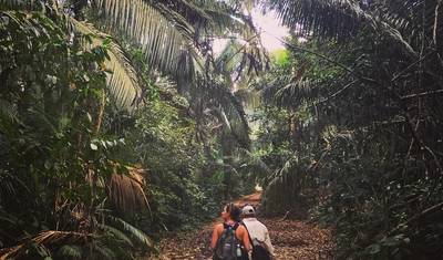Tambopata, macaw clay lick and Sandoval lake 5D/4N — 4