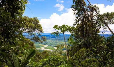 Parque Nacional do Manu 4 dias — 2