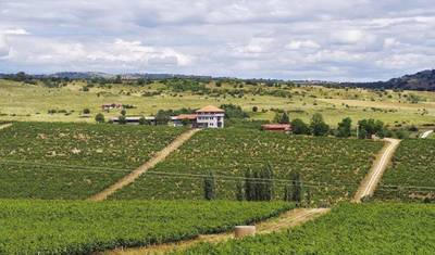 Tour de vinhos na Macedônia — 5