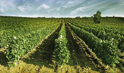 Tour de vinhos na Macedônia — 3