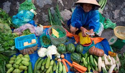 Cycle Vietnam — 5