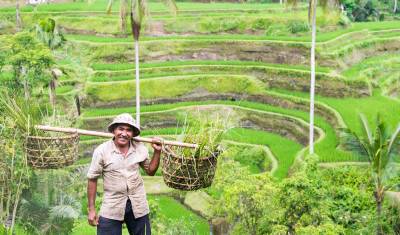 Java e Bali Exóticas — 5