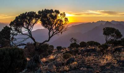 Kilimanjaro - Trekking Lemosho — 4