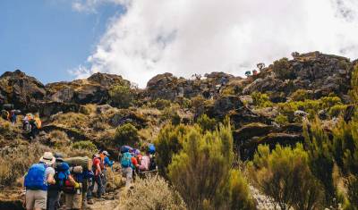 Kilimanjaro - Trekking Lemosho — 5