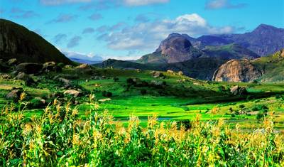 مغامرة مدغشقر البرية — 5