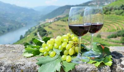 Walks and Wine Tasting in Spain and Portugal — 2