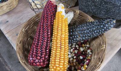 Um Sabor do México - Mercados e Sítios Maias — 5