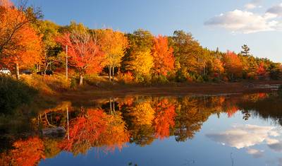 Cores de Outono de Montreal a Boston — 3