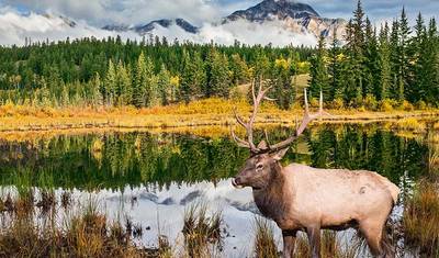 Montanhas Rochosas Canadenses e Costa do Pacífico (Calgary a Vancouver) — 2