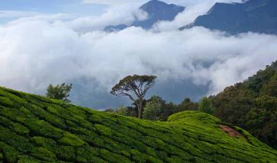 Caminhada em Kerala — 2