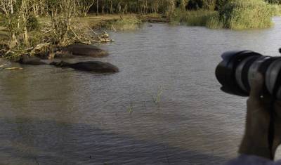Kruger, Eswatini i Szlak Ogrodów Afryki Południowej — 5