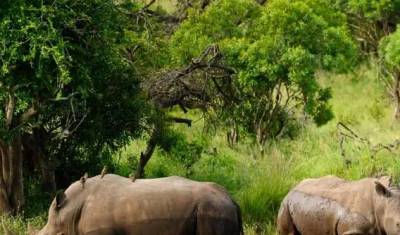 África do Sul e Eswatini — 3