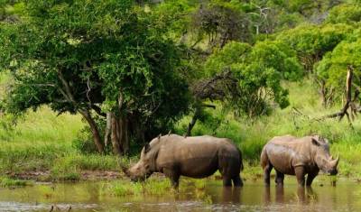 África do Sul e Eswatini — 5