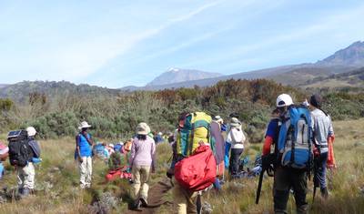 Subida em Grupo ao Monte Kilimanjaro pela Rota Marangu, 8 Dias, Tanzânia (acomodação e transporte incluídos) — 4