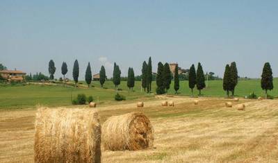 Excursão de Caminhada e Trilhas em Cinque Terre e Toscana — 3