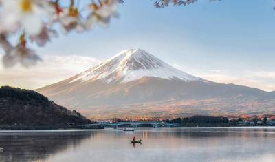 Japan Discovery — 2