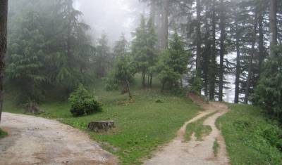 Viagem por Himachal — 5