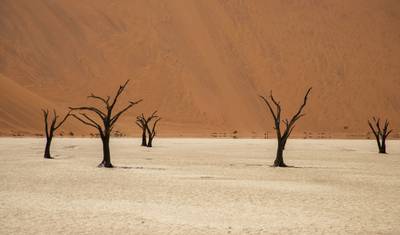 3-dniowe doświadczenie Sossusvlei (zakwaterowanie) — 4