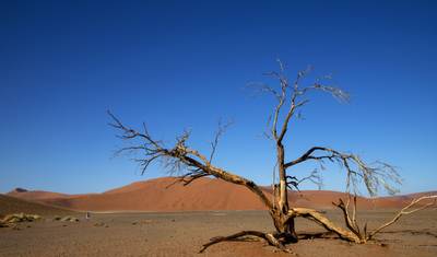 3-dniowe doświadczenie Sossusvlei (zakwaterowanie) — 5