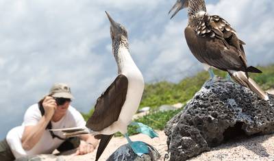 Galápagos Completo - Eden — 3