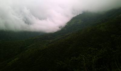 Święta Kerala: Wycieczka — 4