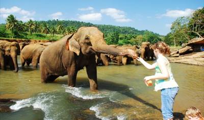Maravilhoso Sri Lanka, Tour Privado — 2