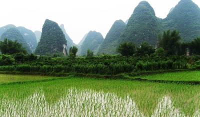 China Abrangente 16 Dias: Pequim, Xangai, Xi'an, Chengdu, Três Gargantas, Yangshuo, Hong Kong — 2