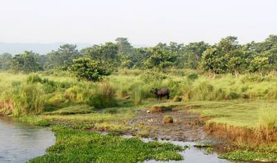 Passeio de Kathmandu a Chitwan — 2